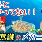 Thumbnail of post image 115