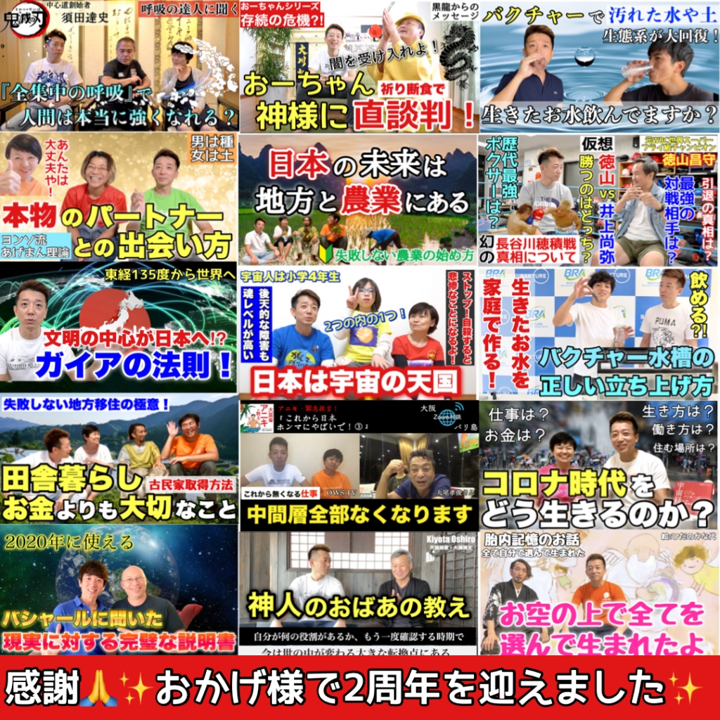 OWS TV
